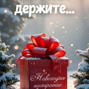 новогоднее настроение #1